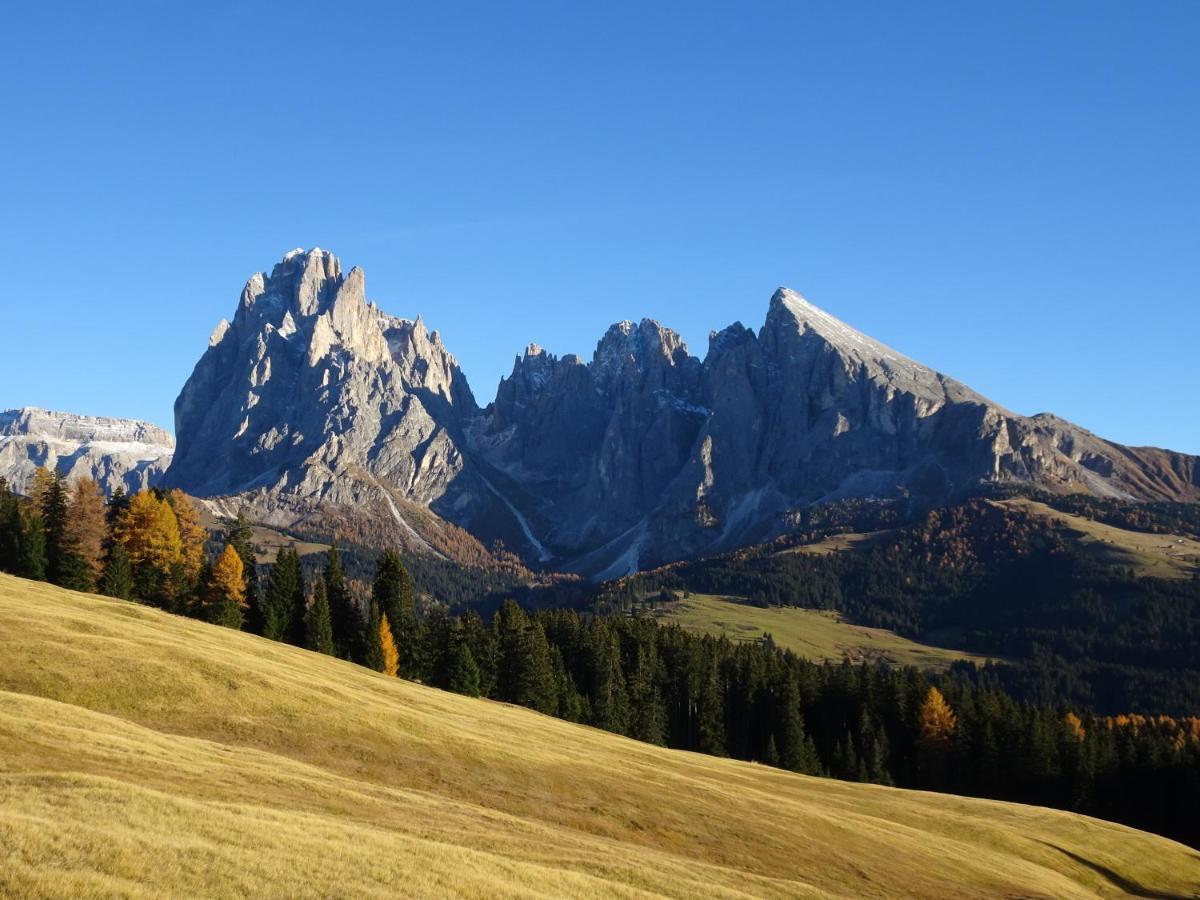 Appartamento Dolomiti Selva di Val Gardena Exteriör bild