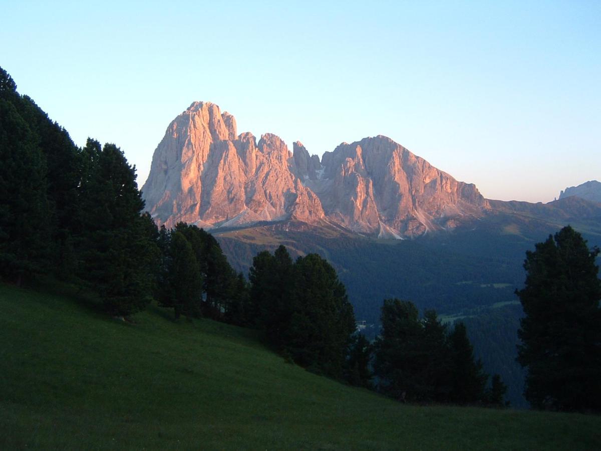 Appartamento Dolomiti Selva di Val Gardena Exteriör bild