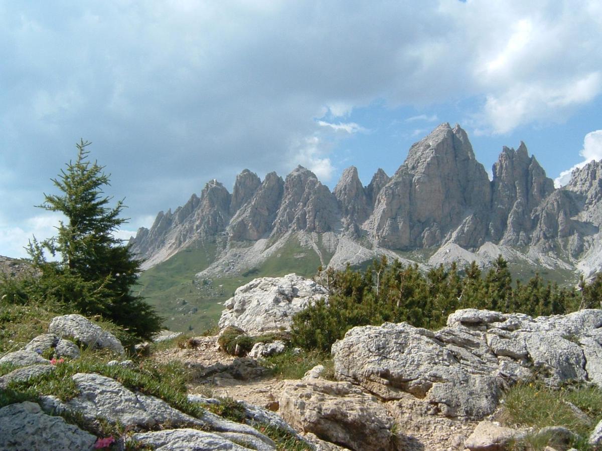 Appartamento Dolomiti Selva di Val Gardena Exteriör bild